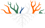 CCCTranslogo.fw